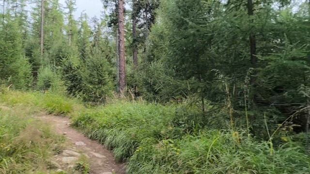 Как Катя шла до озера 📽️#3 смотреть онлайн