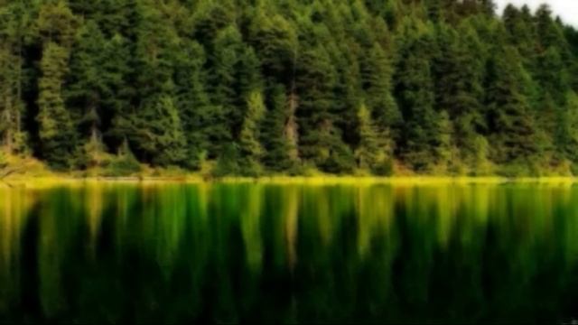 Истории из жизни. Жизненные истории. Интересные истории. Увлекательные истории. Аудиорассказ 0038 смотреть онлайн