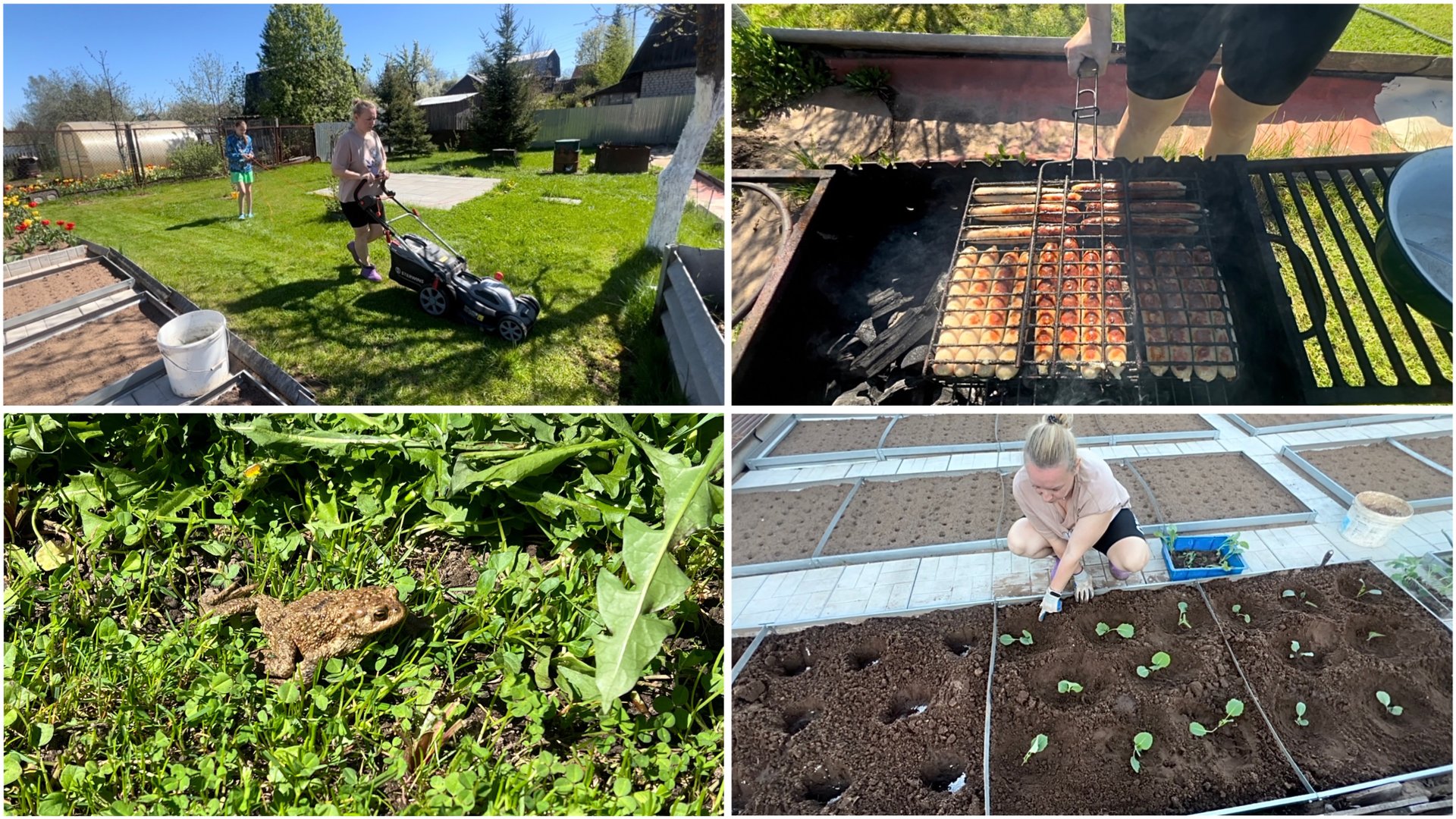 17 мая. На даче. Покос газона. Посадка капусты. Готовлю бродилку. Купаты на обед смотреть онлайн
