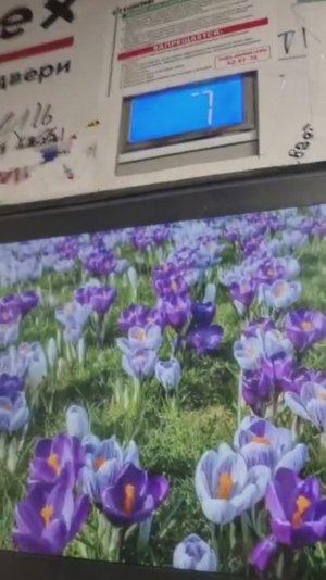 ЛУЧШЕ ЧЕМ КМЗ! ЛИФТЫ КМЗ ПЕГАС Музыкальный 2018, | Лифты