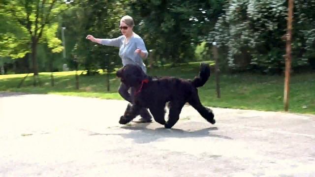 Кира и Екатерина 17.6.2015