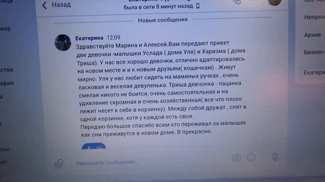 БЫСТРО привыкают #ЧИХУАХУА к НОВОМУ дому ? Услада и Харизма переехали в новый дом в возрасте 2 года
