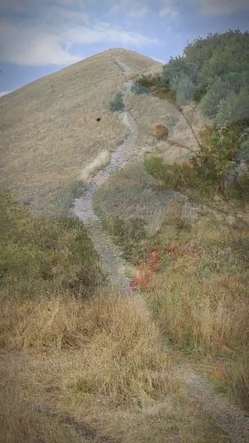 #shorts #кмв #бештау #змейка смотреть онлайн