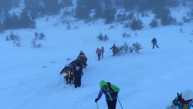 Сходження на г. Говерлу 30.01.16