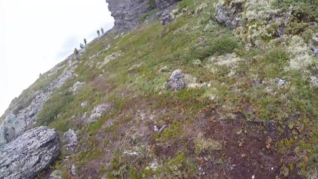 Пупы 2015 Опупевший заяц смотреть онлайн