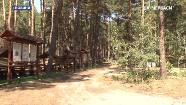 Відновлення рекреаційної зони «Сосновий бір» завершили лісівники Черкащини