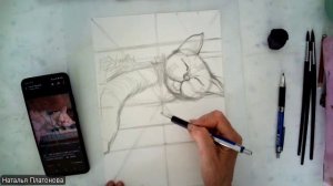 Кот-музыкант