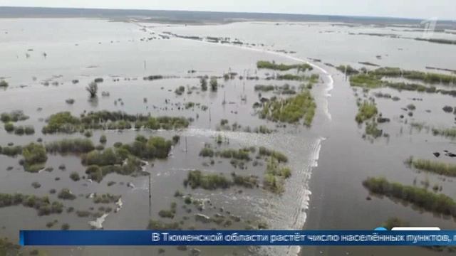 Первый канал # Новости 17.05.2025 О ситуации с лесными пожарами смотреть онлайн
