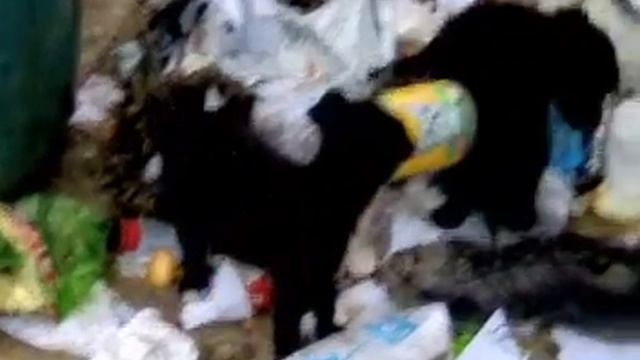 Жадность до хорошего не доводит