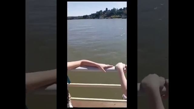 небольшое путешествие на мамин день рождения 🌷 смотреть онлайн