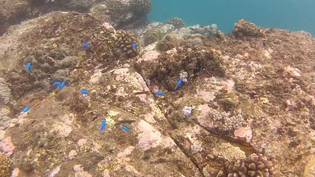 январь на о. Миндора смотреть онлайн