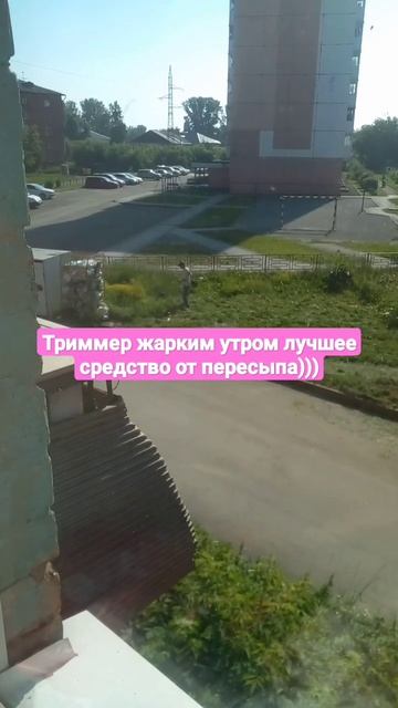 #триммер #утро #жара #недопересып смотреть онлайн