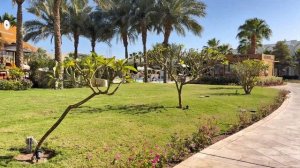 Обзор отеля SWISSOTEL Sharm el sheikh Египет 2025г Rixos / территория о