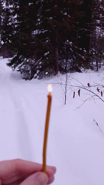 Ангелы#ведунья #обрядыритуалы #магия #духи #лес #загово смотреть онлайн