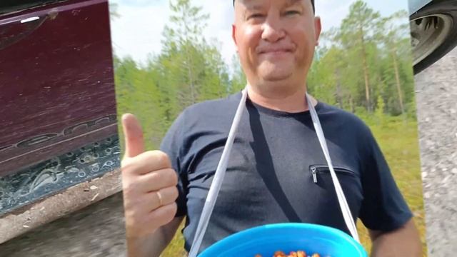 Медовая ягода, дары природы. #карелия #ягодка  #урожай #здоровье