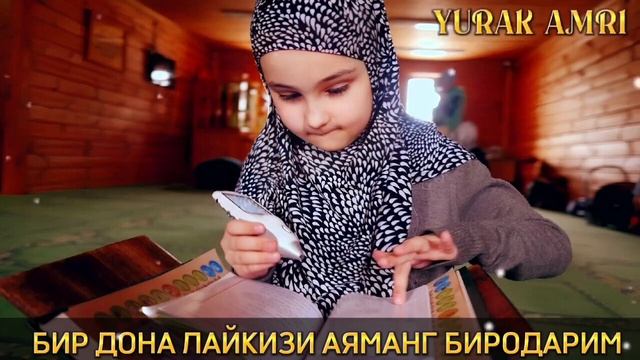 УЗБЕКЛАР КАЙРГА КАРАБ КЕТАЯПТИ|• ДОМОА ЖУДА КАТТИК ГАПИРДИЛАР смотреть онлайн