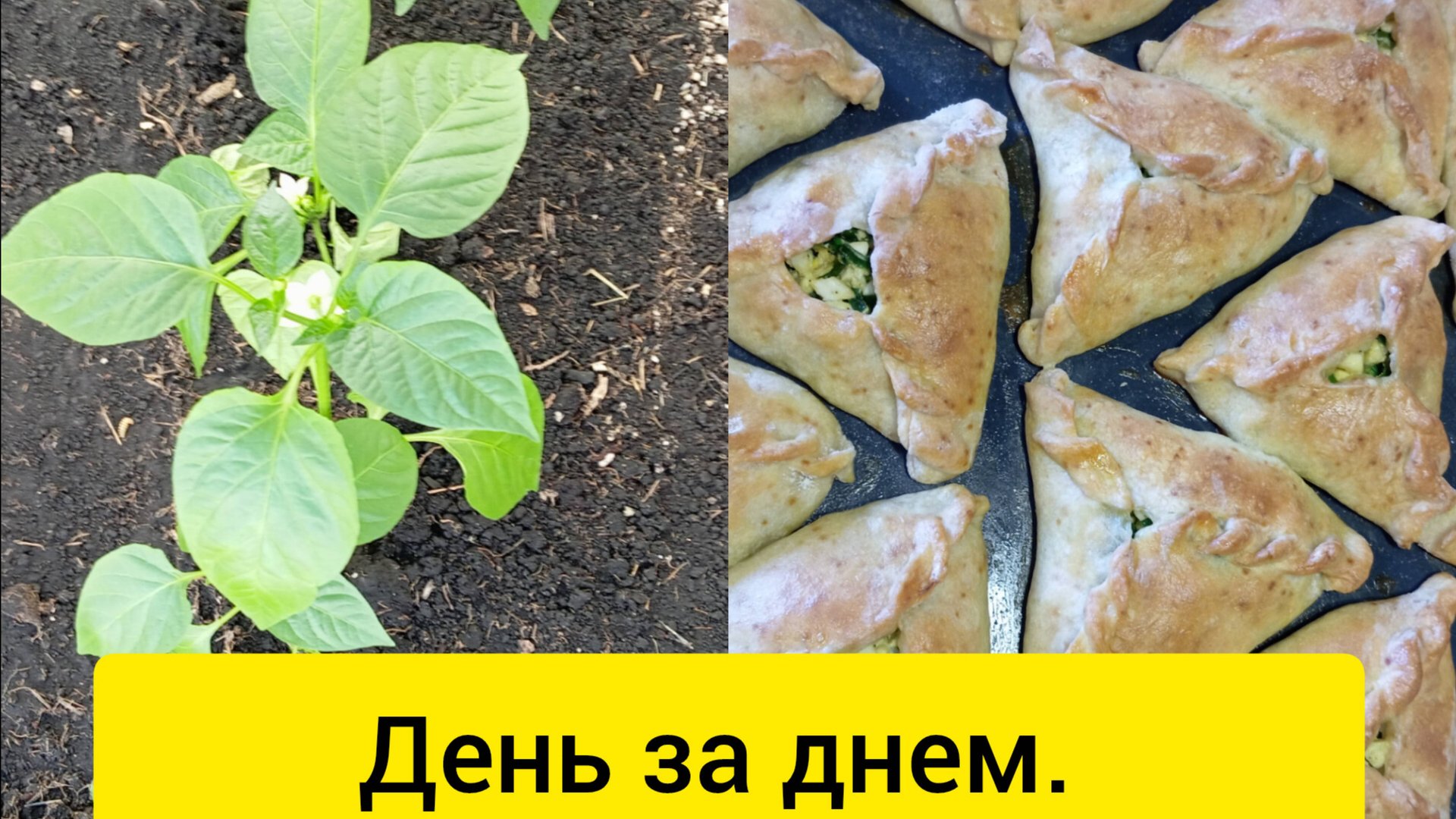 День за днём. Дело за делом. Так и проходит жизнь. смотреть онлайн