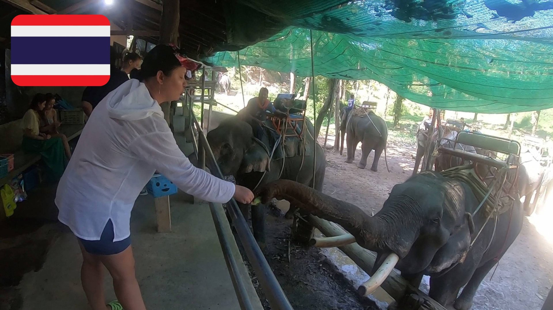 #35 Слоновья ферма. День 2-й. Катаемся на слоне. Кормим слоников бананами. Таиланд. Декабрь 2019 смотреть онлайн
