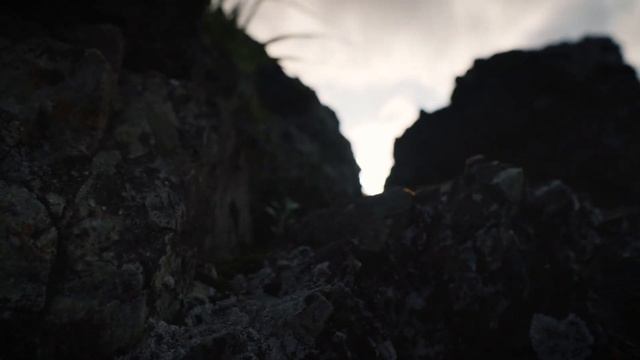 Путешествуй с SakhFox. Отдохни от суеты смотреть онлайн