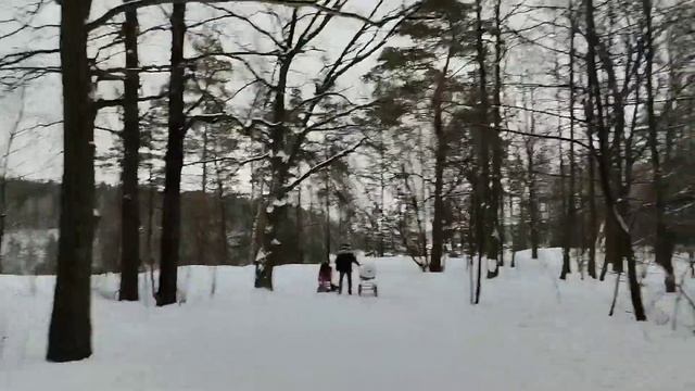 г. Дзержинский! лес!одухотворение от природы и саморазвитие 🔥🌟 смотреть онлайн
