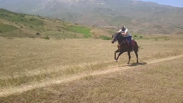 Конные скачки, селение Каладжух. 14,08,2022. первый заезд