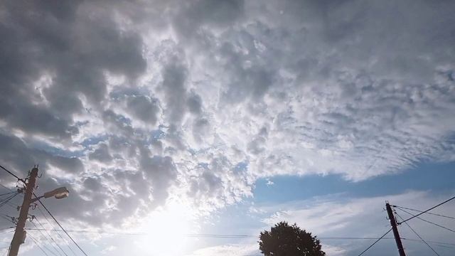 ага, но я правда никого не выделяю смотреть онлайн