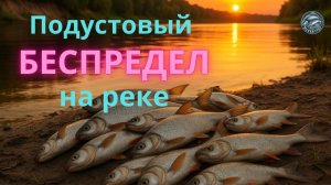 Ловля подуста весной на течении | Фидерная рыбалка на реке Угра I Вимба сырть рыбец
