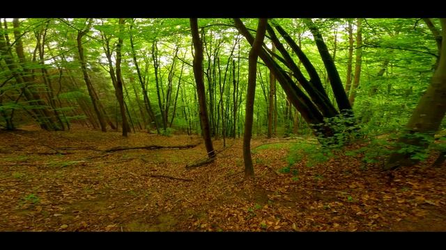 Витоша - Алекова скала,Алекови водопади (долен и горен)