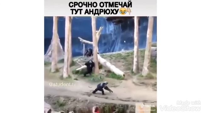 Я РЖАЛ ЦЕЛИЙ ЧАС/ЗАСМИЯЛСЯ С ТЕБЕ ЛУКАС🔴🔴🔴🤪🤪🤪👌😂