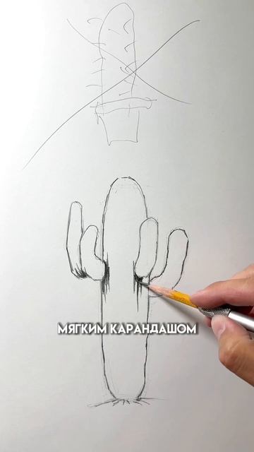 Как нарисовать кактус #рисунок #творчество #рисование смотреть онлайн
