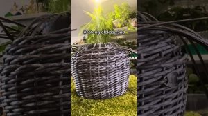 Не хватило лозы? Добавим, легко😉#ротанг #кашпоротанг