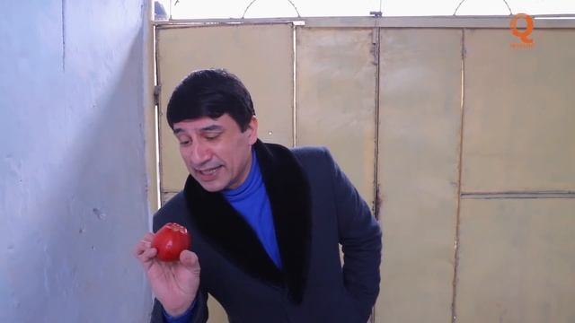 Ай пушти аруси мошиндор бачахора бинен чихел медаван Гр Арабшо сахнаи нав 2022