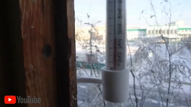 Якутск.Тютя+Няша, утренняя прогулка  Yakutsk.Tyutya+Nyasha, Morning Walk