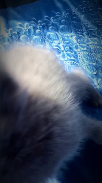 ДОБРОЕ УТРО!