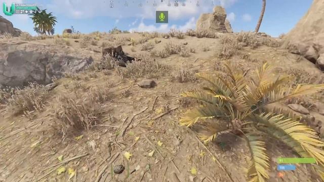 АДМИНСКАЯ КИЯНКА которая УДАЛЯЕТ ДОМА ЧИТЕРОВ! Админ Патруль в Rust/Раст!