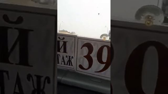 Андижан зеленый мост