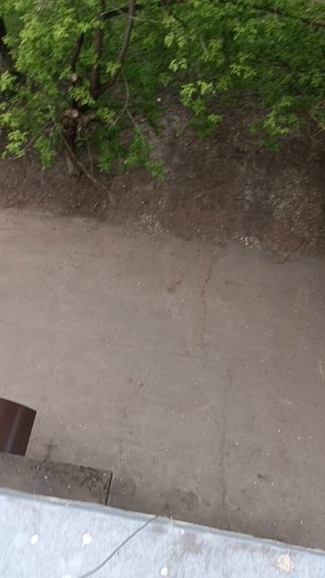 вот как у меня в краю родном смотреть онлайн