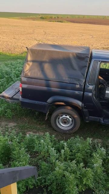 Голодный Лис. смотреть онлайн