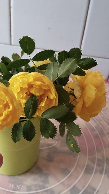 #Shorts #Цветок #Красота смотреть онлайн