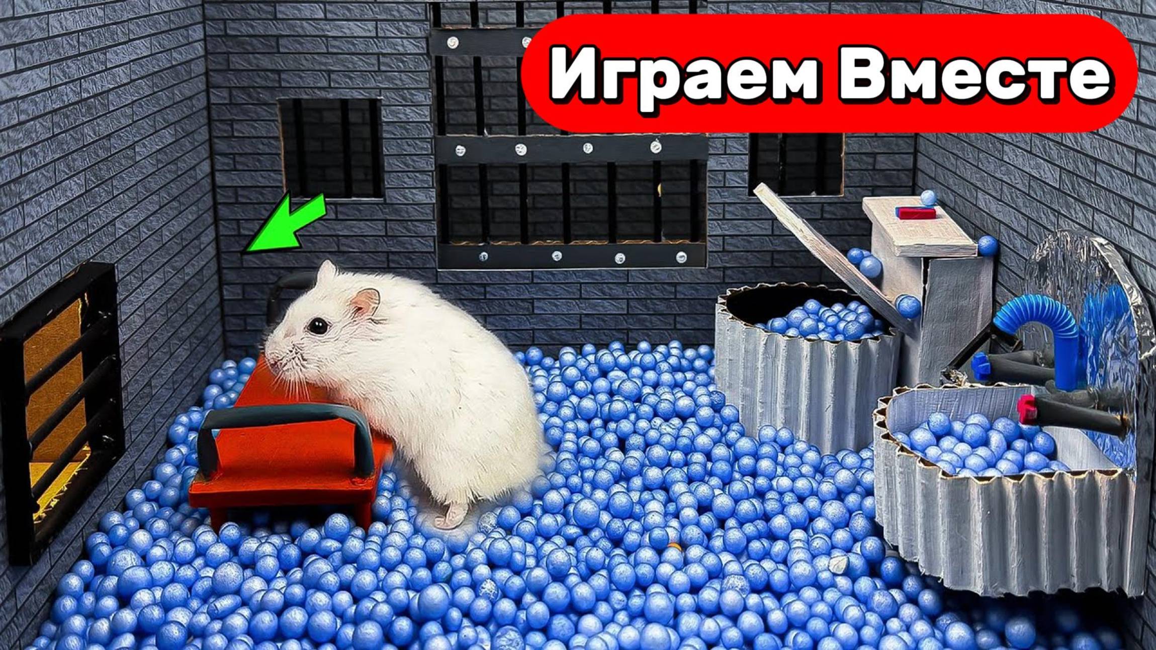 Умный Хомяк сбегает из СЕКРЕТНОЙ ТЮРЬМЫ для ГЕНИЕВ с ЛОВУШКАМИ 🐹 Видео для детей смотреть онлайн