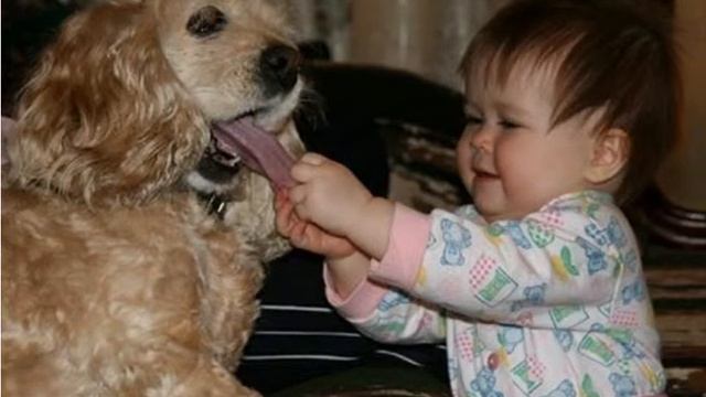 Приколы нашей группы смотреть онлайн