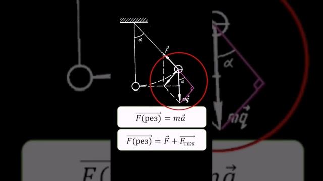 Тема за минуту. Математический маятник. #наука #физика #интересно #юмор смотреть онлайн