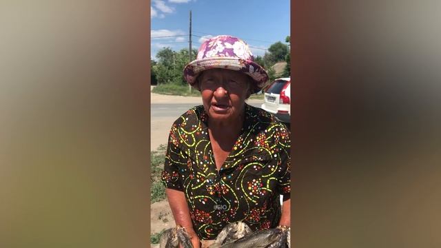 ЛУЧШИЕ ПРИКОЛЫ 😂 10 МИНУТ СМЕХА ДО СЛЁЗ / ТЕСТ НА ПСИХИКУ/ УГАР ПРИКОЛ🤣 ПРИКОЛЮХА смотреть онлайн