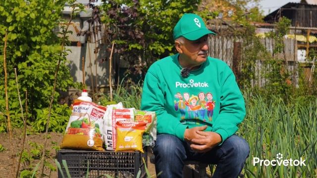 ИЗ-ЗА ЭТОЙ КОВАРНОЙ ОШИБКИ чеснок и лук желтеют и болеют!Им нужен совсем другой уход холодной весной смотреть онлайн