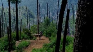 На Пик любви с мультиспортивным клубом О'Лень.