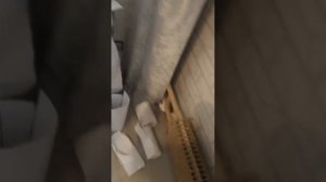 спринг бонни костюм из бумаги 1 часть.