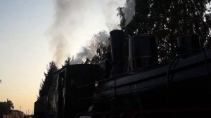 Паровозы Ь.2012, Оп.7587, 9П-19499