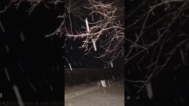 Ну хоть в январе чуть снег выпал. смотреть онлайн