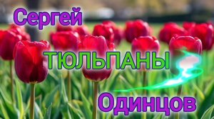 ТЮЛЬПАНЫ ДЛЯ МИЛЫХ ЖЕНЩИН // СЕРГЕЙ ОДИНЦОВ