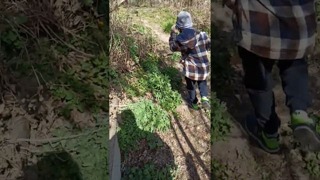 Черная гора смотреть онлайн